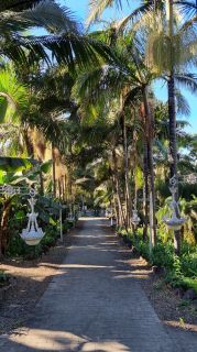 2024-01-GranCan-Jardin_de_la_Marquesa-006.jpg